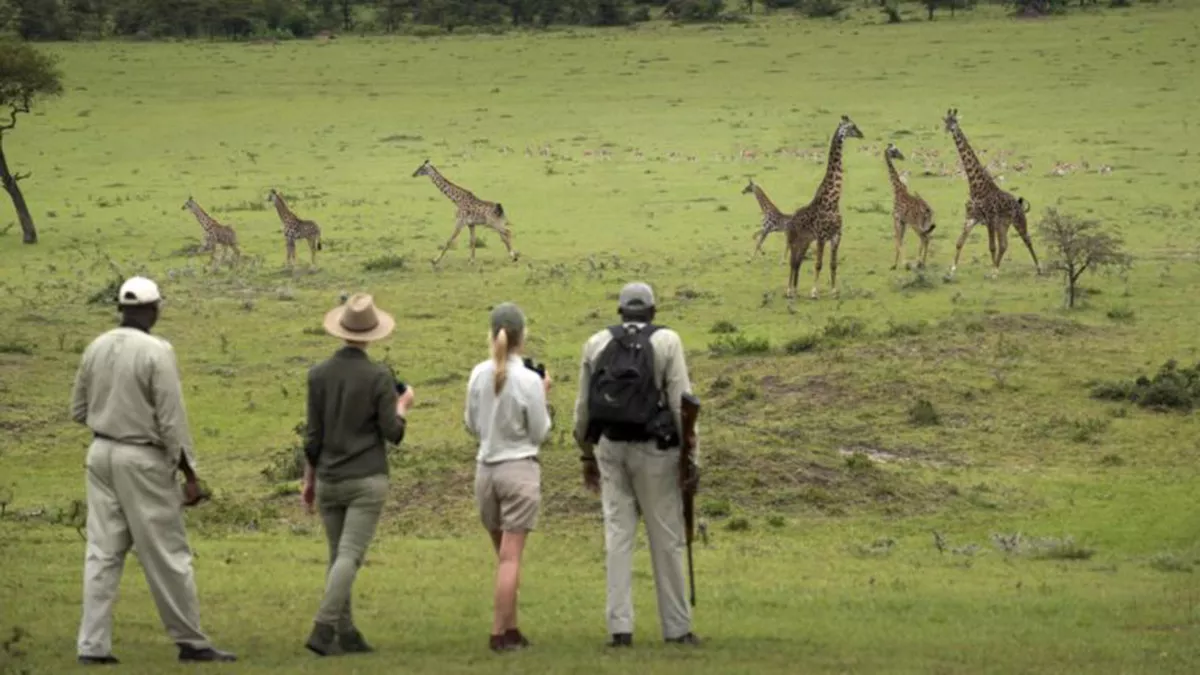 Quênia Safari em Família by andBeyond